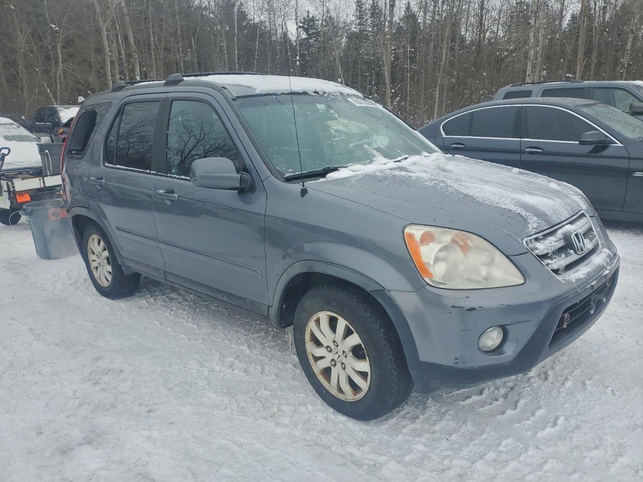 2006 Honda Cr-v Se Gray vin: JHLRD78956C802416