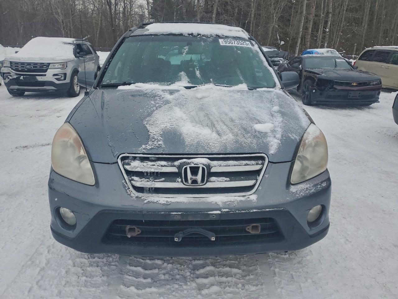 2006 Honda Cr-v Se Gray vin: JHLRD78956C802416