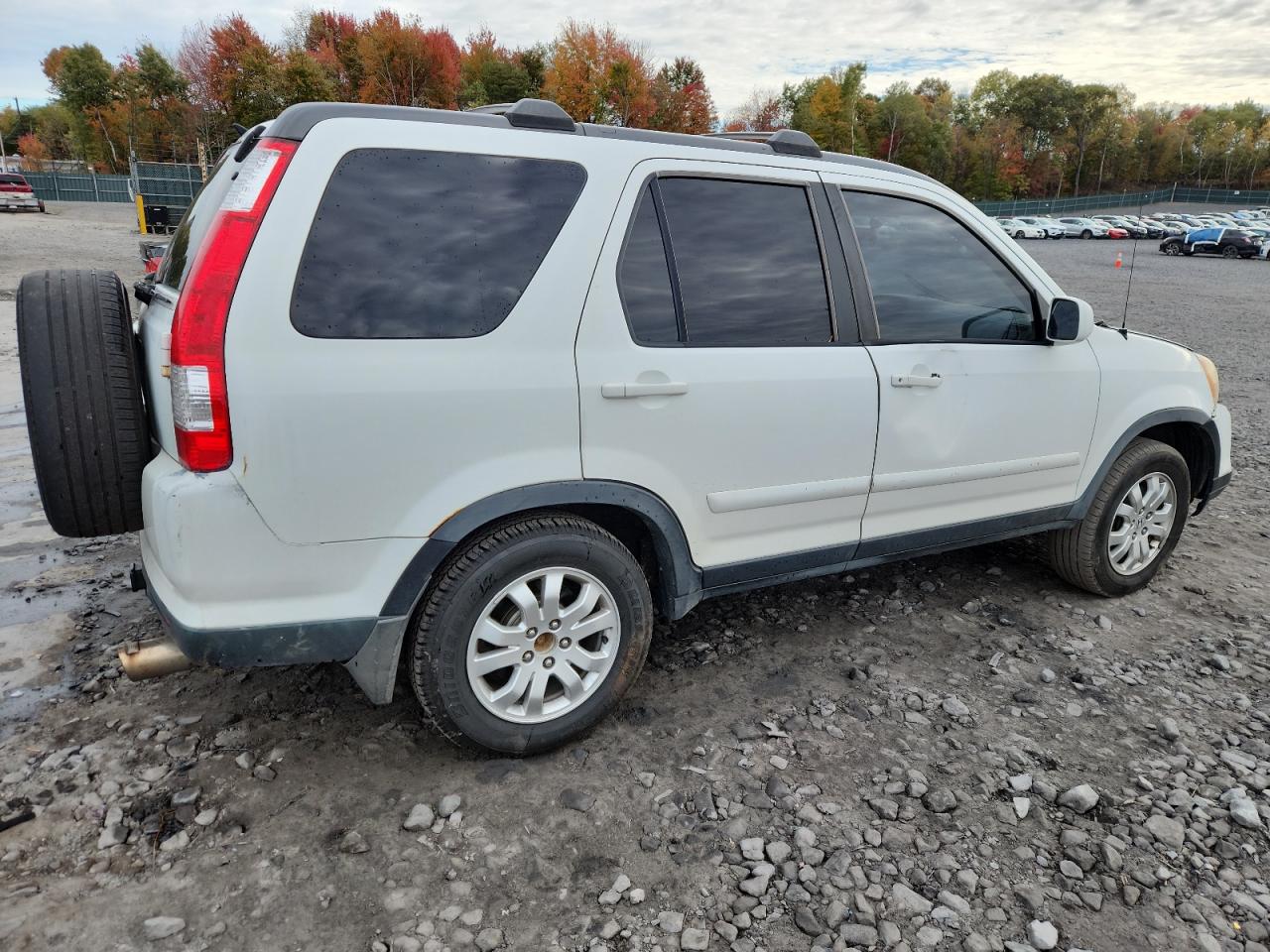 2006 Honda Cr-v Se Белый vin: JHLRD78966C037393