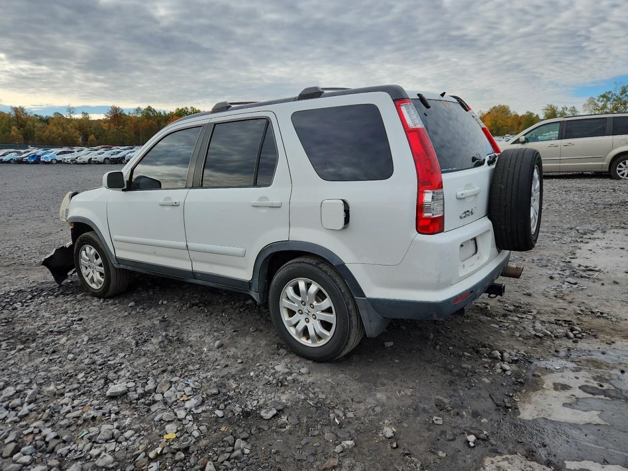 2006 Honda Cr-v Se Белый vin: JHLRD78966C037393