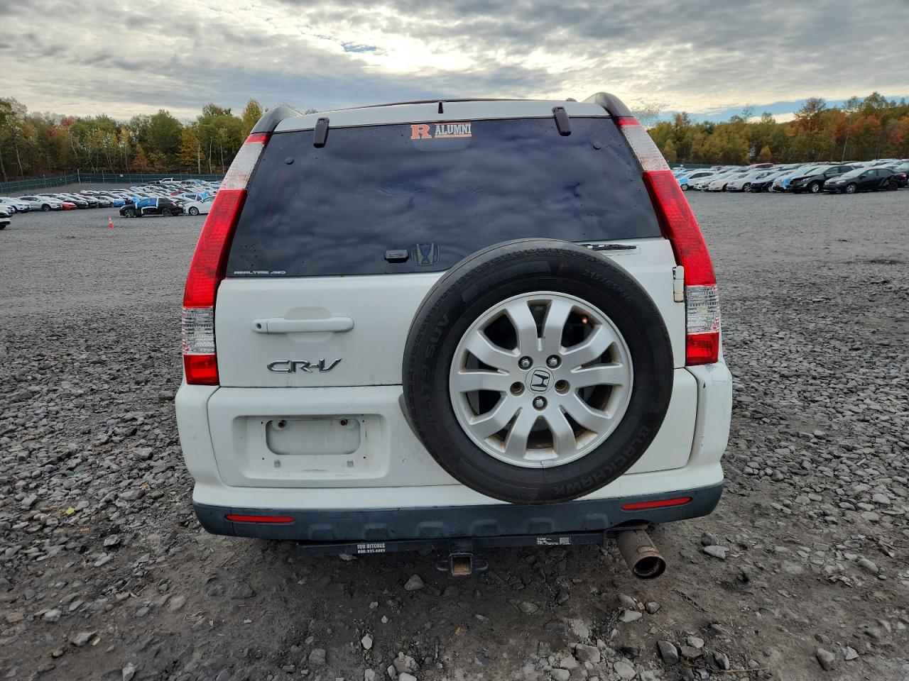 2006 Honda Cr-v Se Белый vin: JHLRD78966C037393