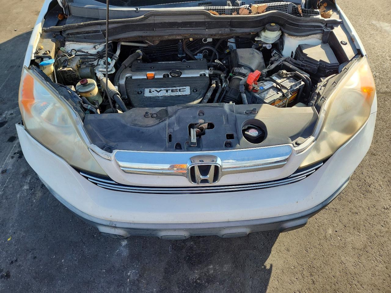 2007 Honda Cr-v Ex Белый vin: JHLRE38517C059886
