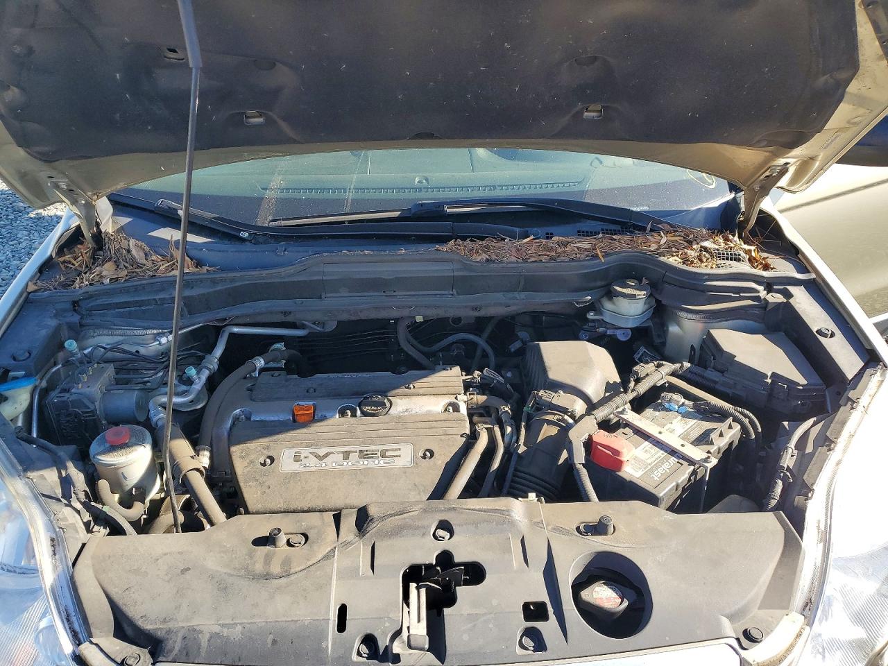 2007 Honda Cr-v Ex Золотой vin: JHLRE38577C042008