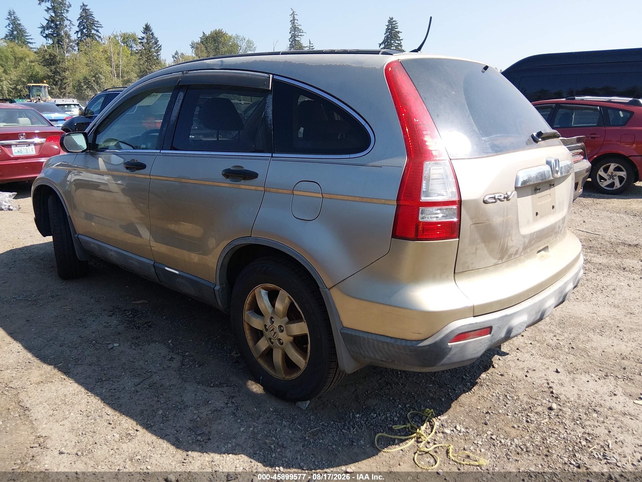 2007 Honda Cr-v Ex Gold vin: JHLRE38587C014640