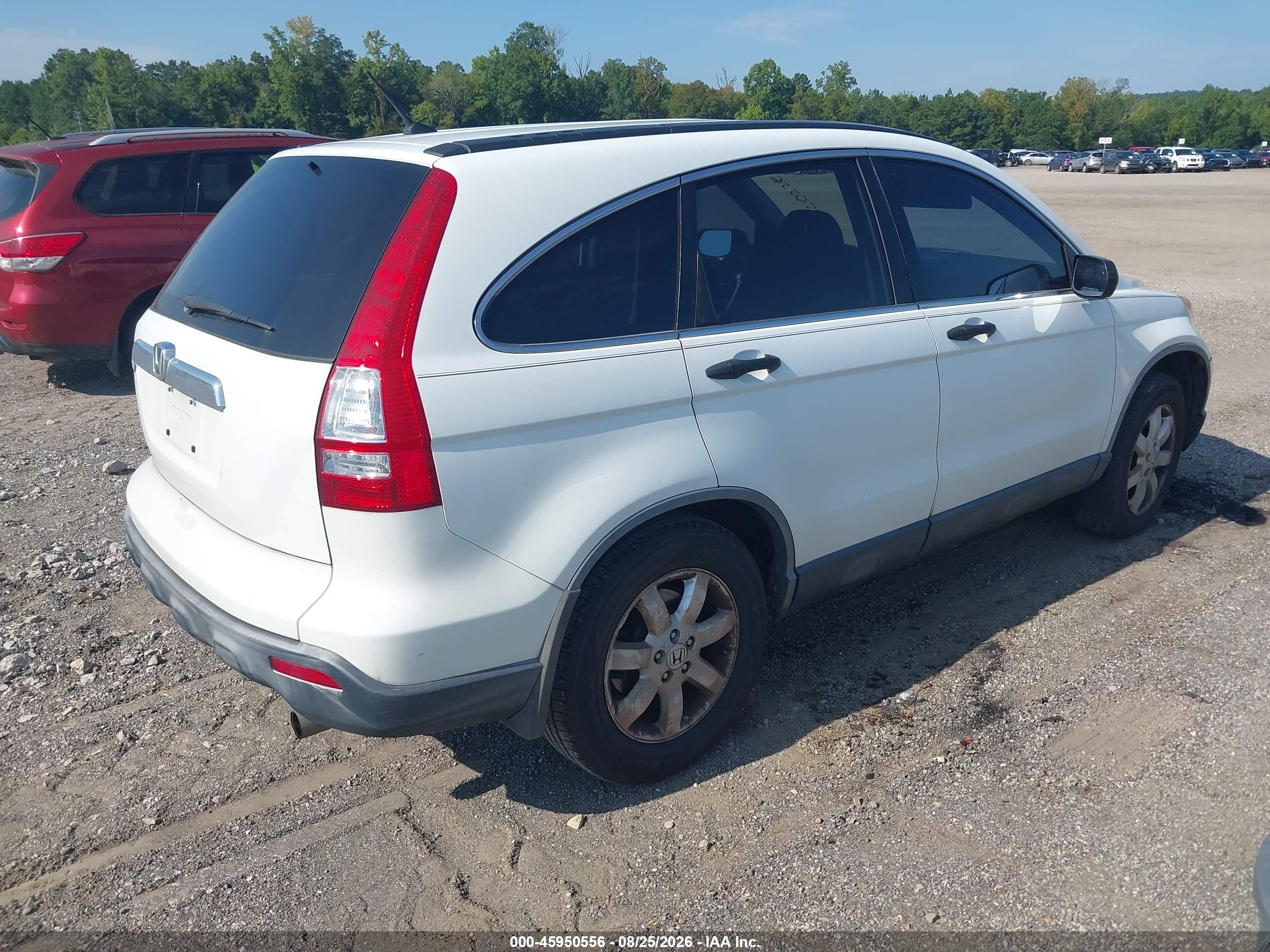 2007 Honda Cr-v Ex Белый vin: JHLRE38587C056063