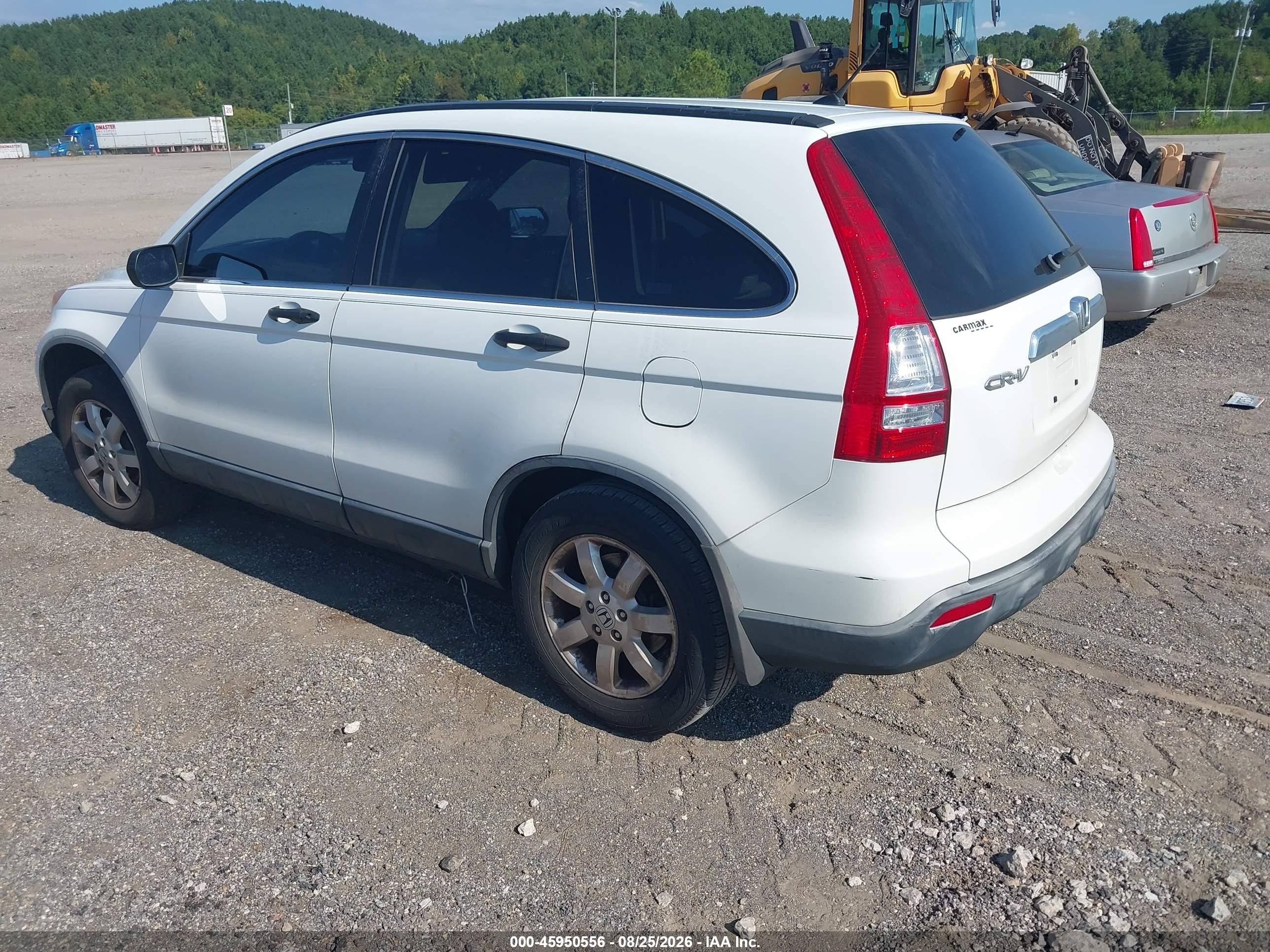 2007 Honda Cr-v Ex Белый vin: JHLRE38587C056063
