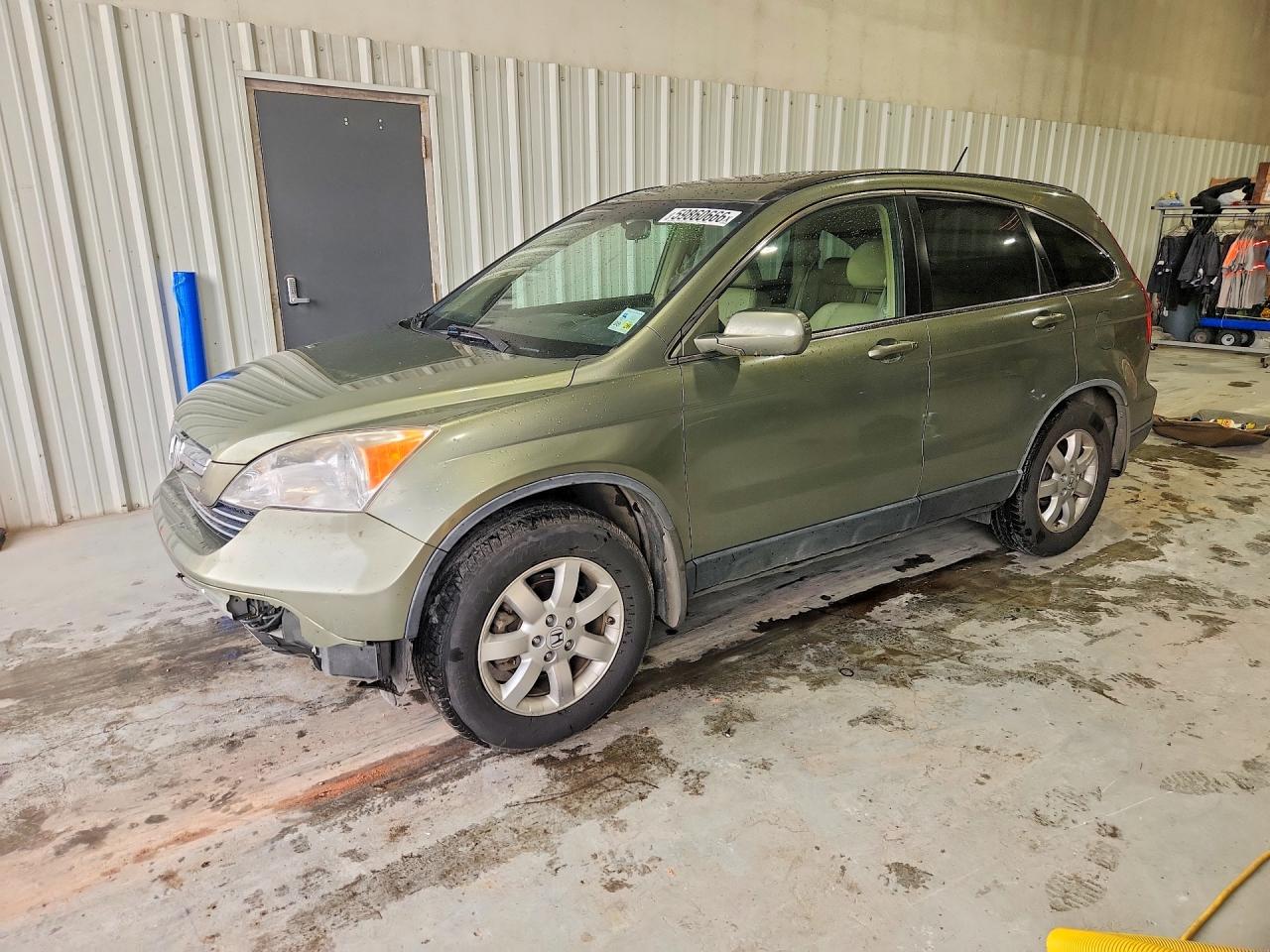 2009 Honda Cr-v Exl Green vin: JHLRE38719C007856