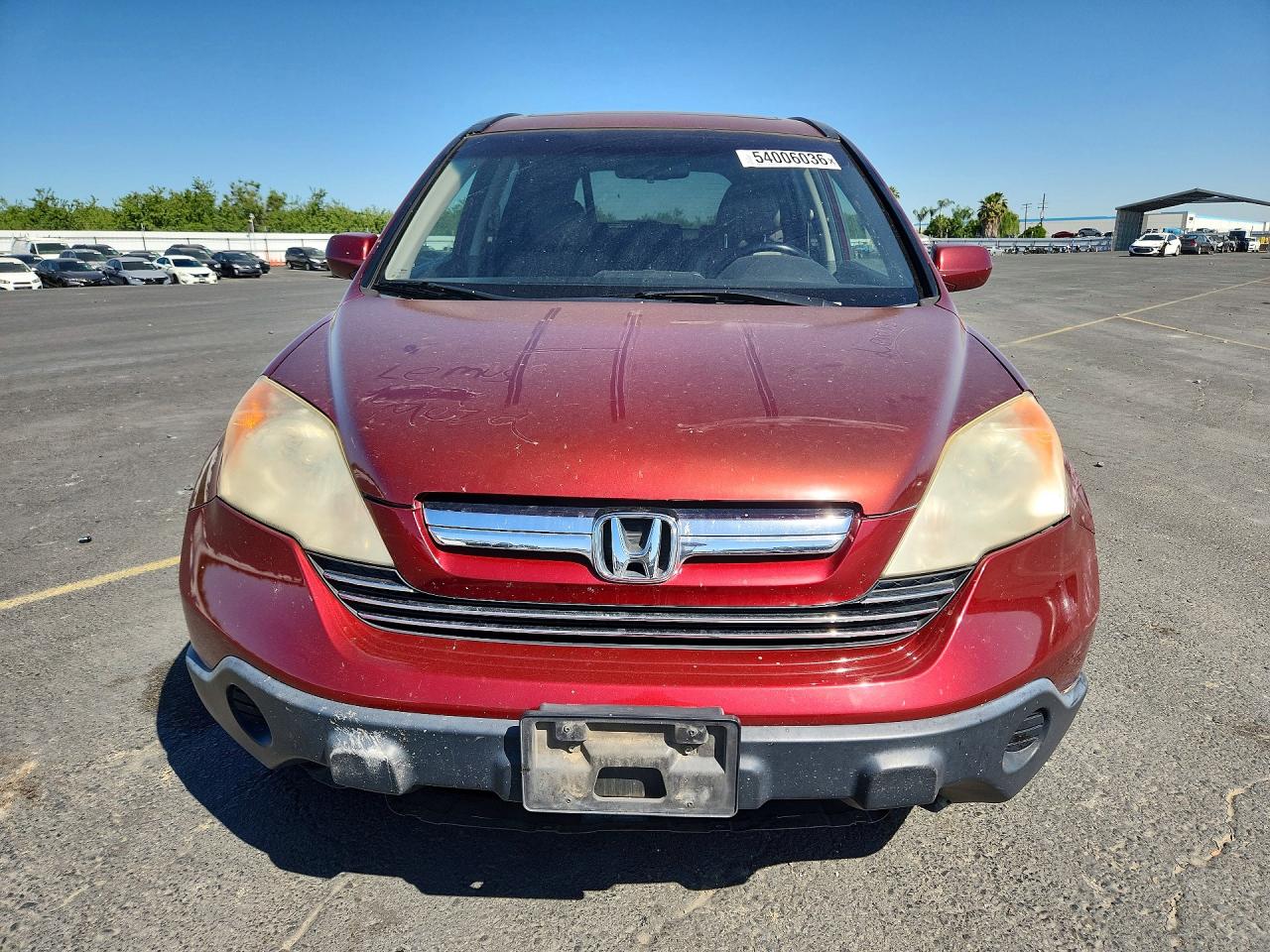 2009 Honda Cr-v Exl Red vin: JHLRE38759C012803