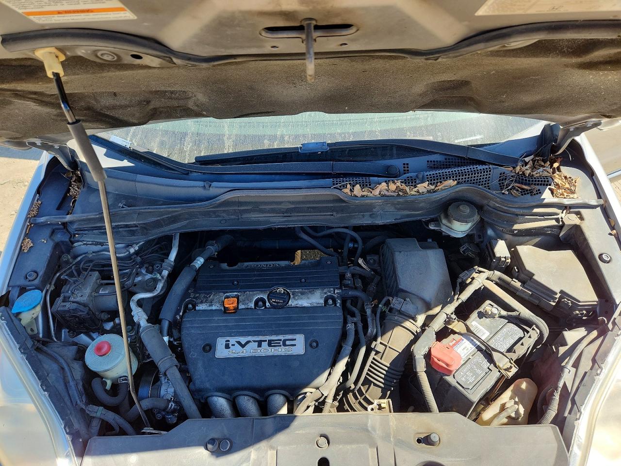 2008 Honda Cr-v Exl Silver vin: JHLRE38768C014980