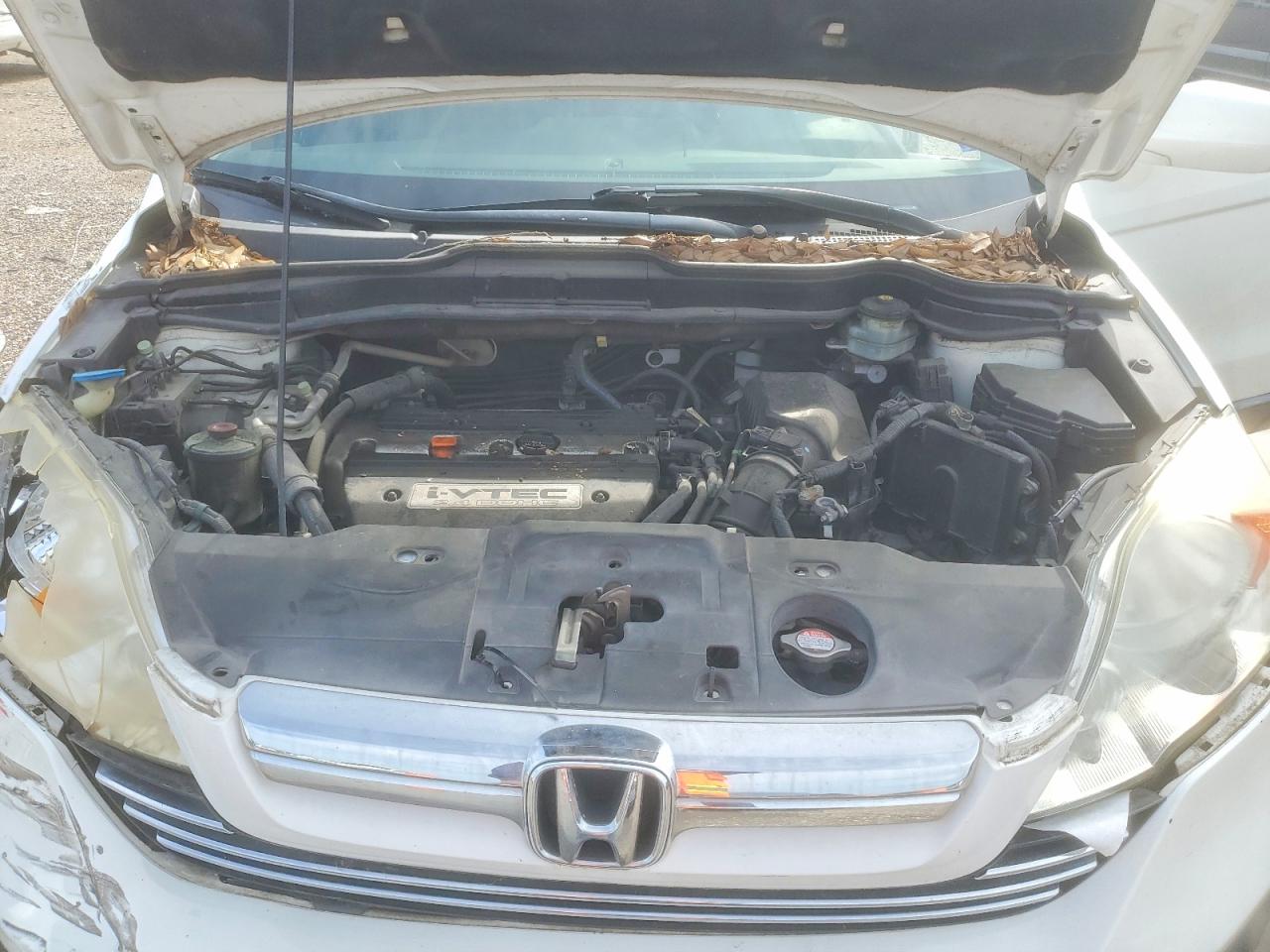 2007 Honda Cr-v Exl White vin: JHLRE38777C055780