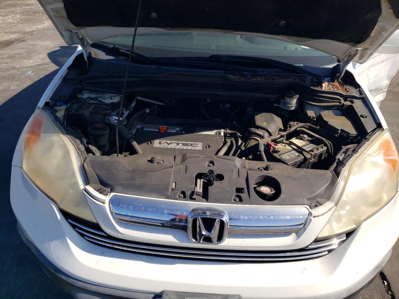 2008 Honda Cr-v Exl White vin: JHLRE38778C058339
