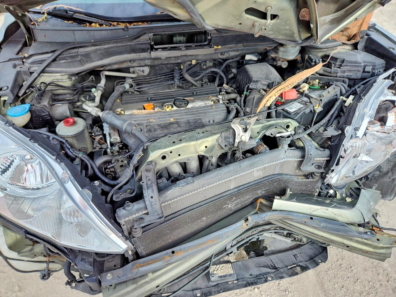 2007 Honda Cr-v Exl Green vin: JHLRE38797C025549