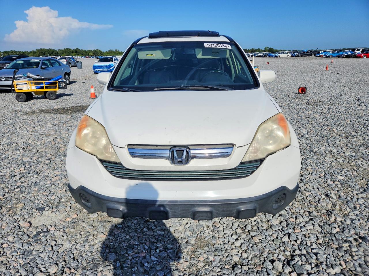2007 Honda Cr-v Exl Белый vin: JHLRE387X7C058060