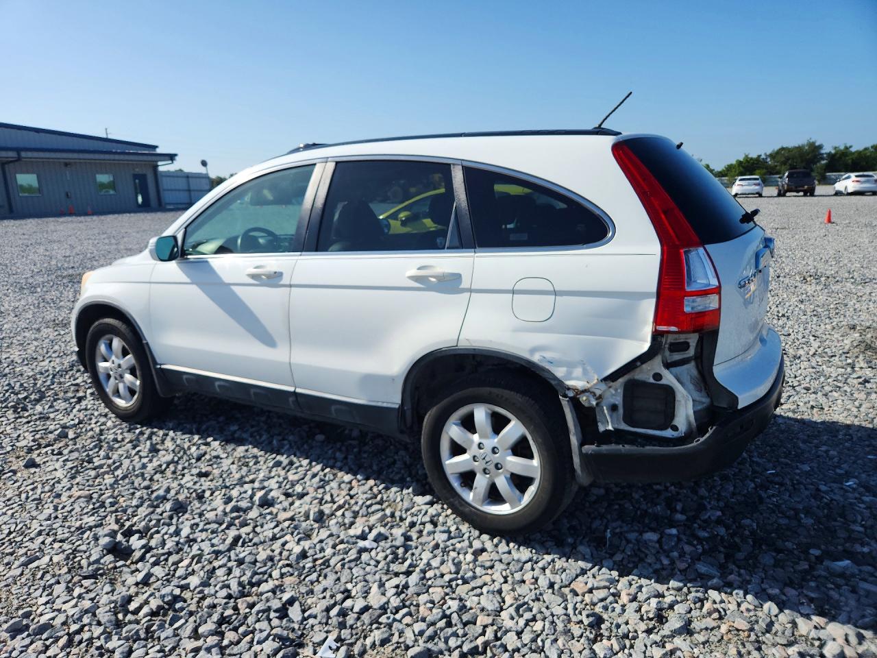 2007 Honda Cr-v Exl Белый vin: JHLRE387X7C058060