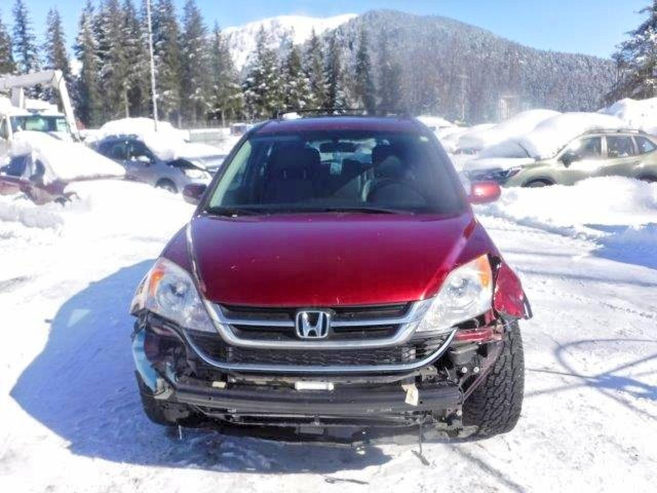2010 Honda Cr-v Exl Maroon vin: JHLRE3H73AC003554