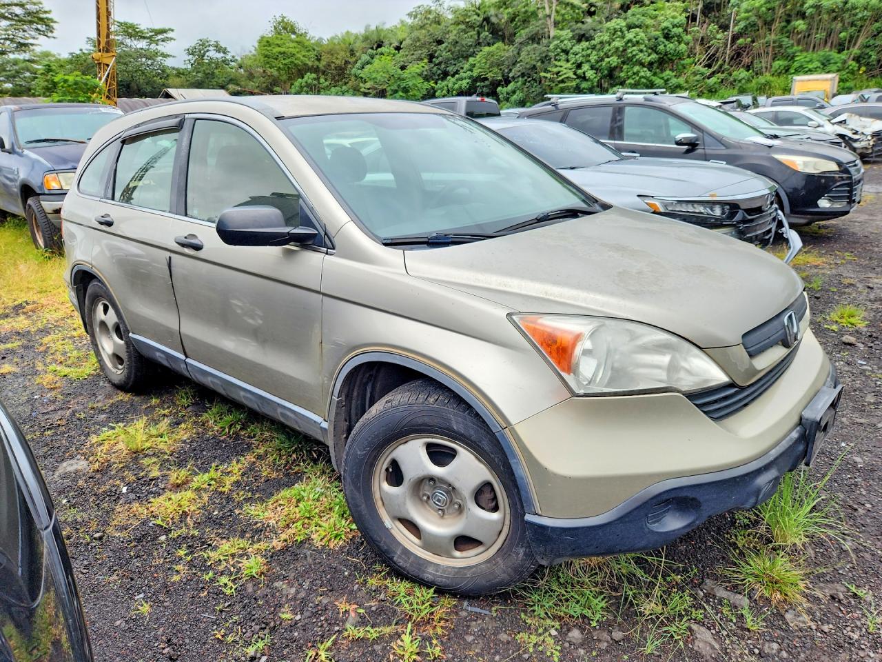 2007 Honda Cr-v Lx Beige vin: JHLRE48357C019590