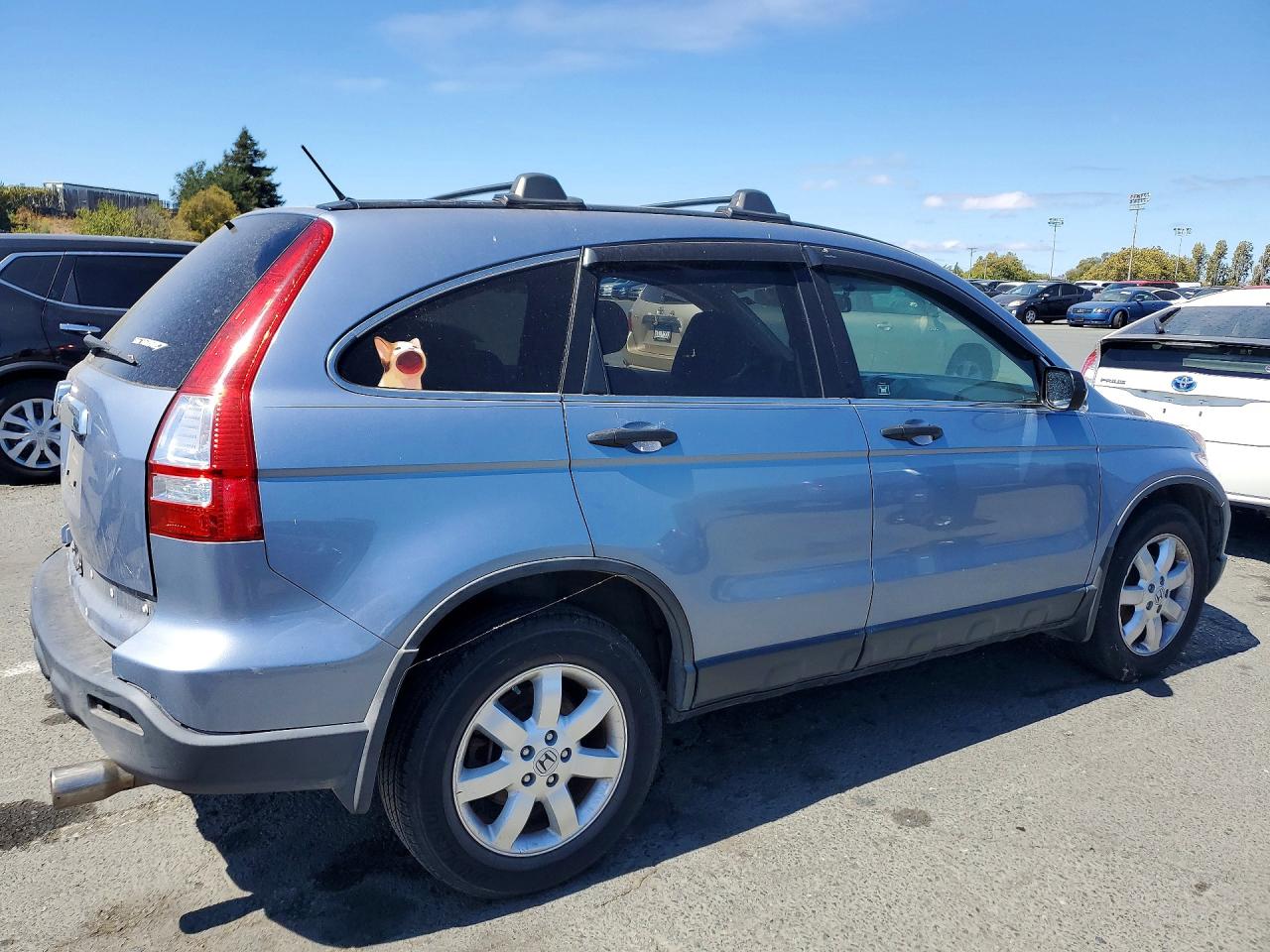 2007 Honda Cr-v Ex Silver vin: JHLRE48517C086561
