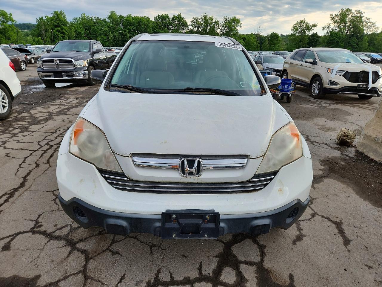 2007 Honda Cr-v Ex White vin: JHLRE48527C114481