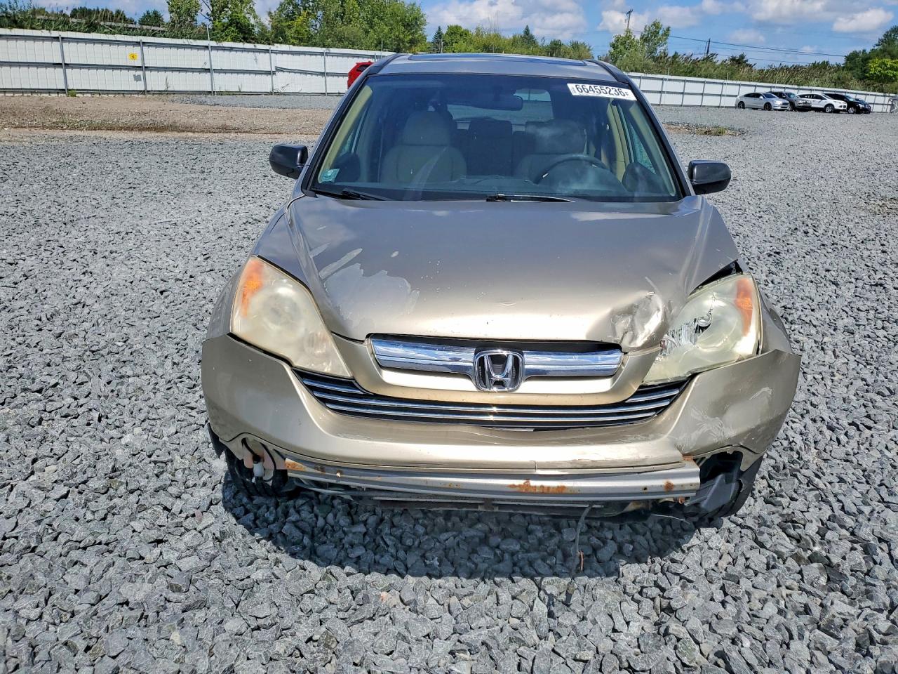 2008 Honda Cr-v Ex Gold vin: JHLRE48548C006784