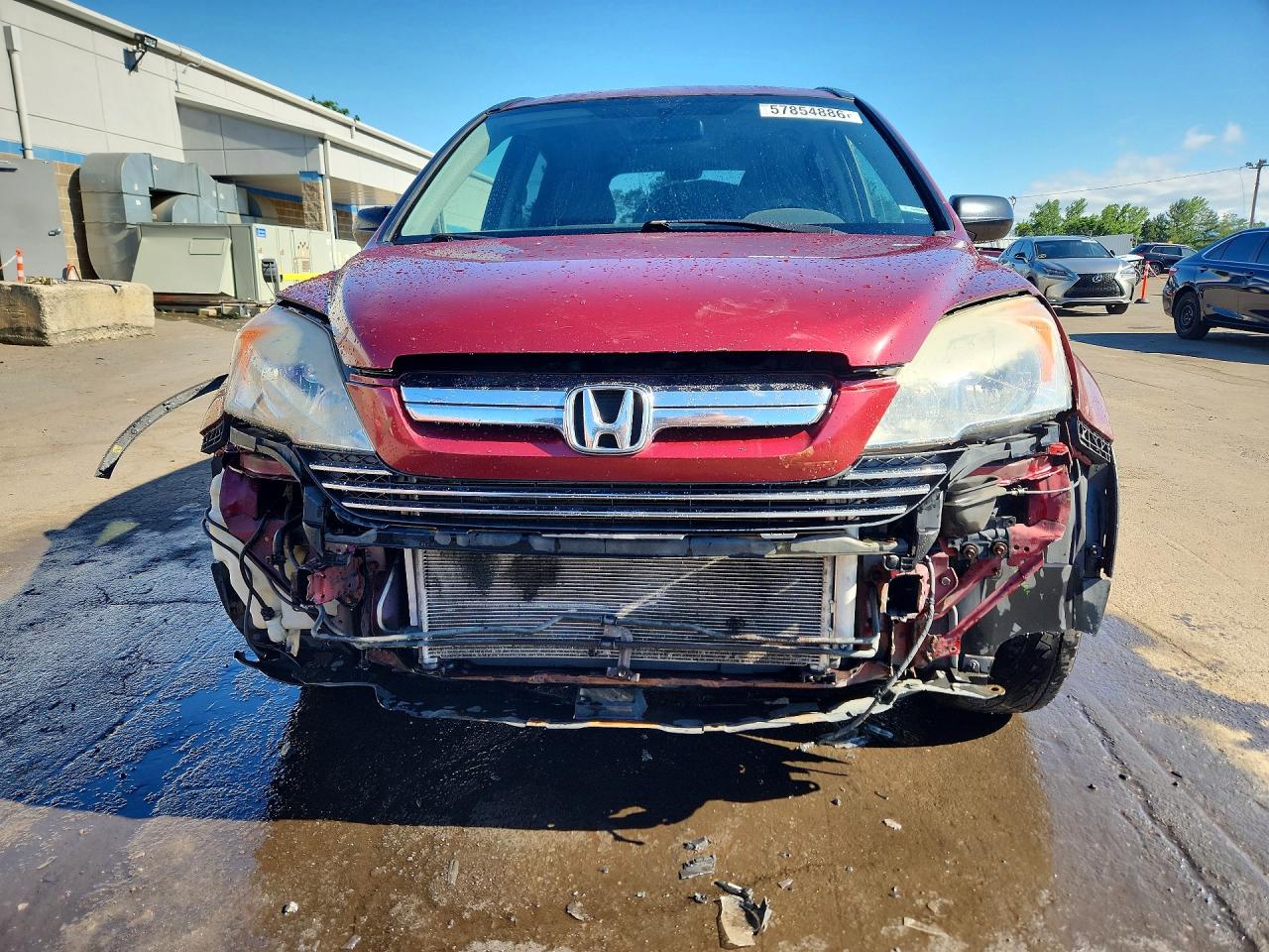 2008 Honda Cr-v Ex Burgundy vin: JHLRE48578C032201