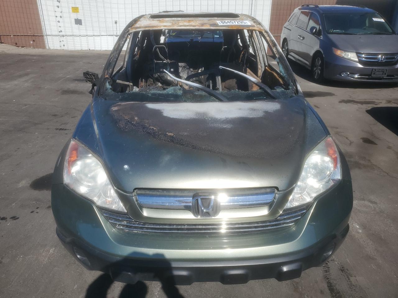 2007 Honda Cr-v Ex Зеленый vin: JHLRE485X7C094397