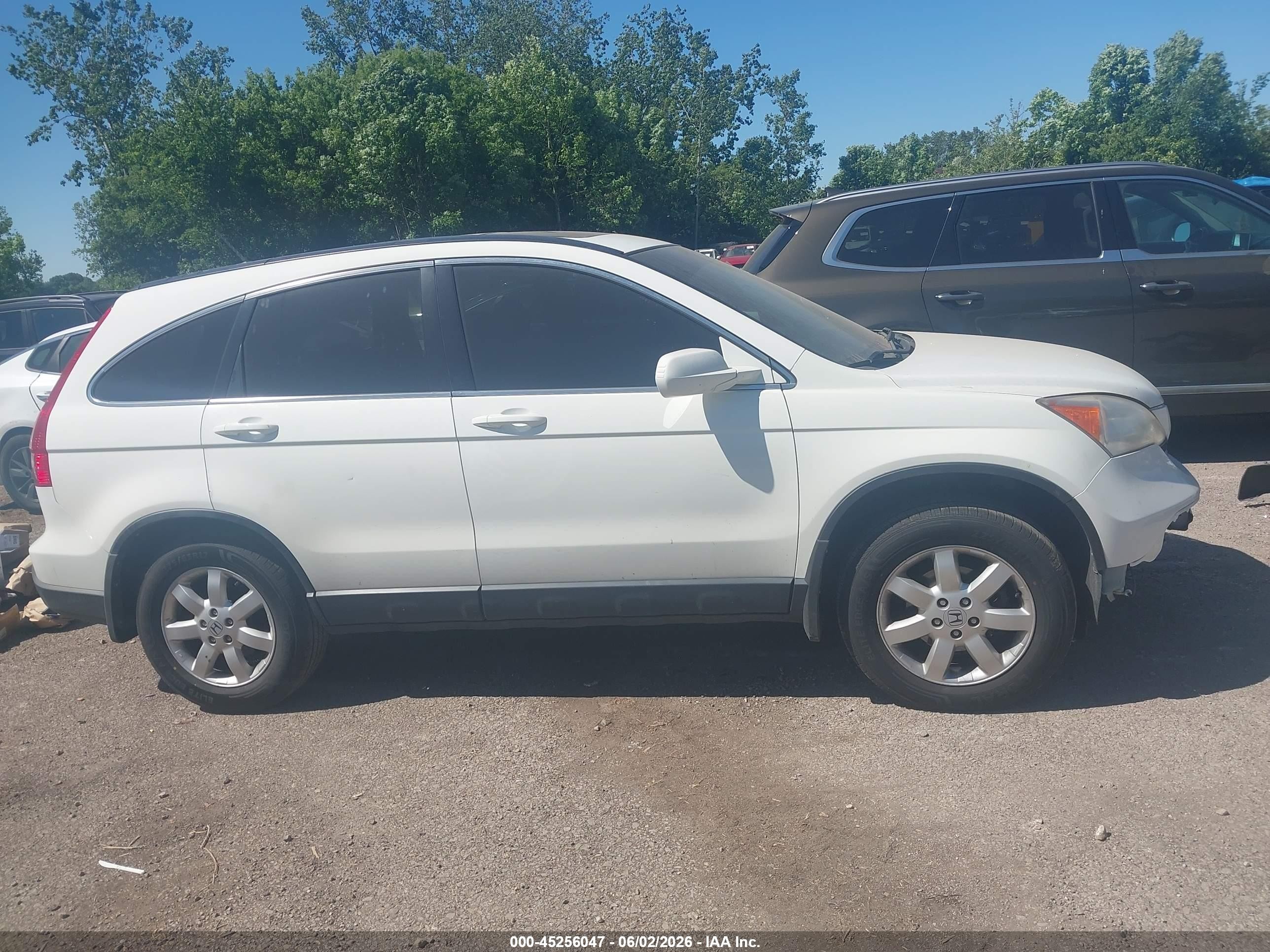 2008 Honda Cr-v Ex-l White vin: JHLRE48708C053554