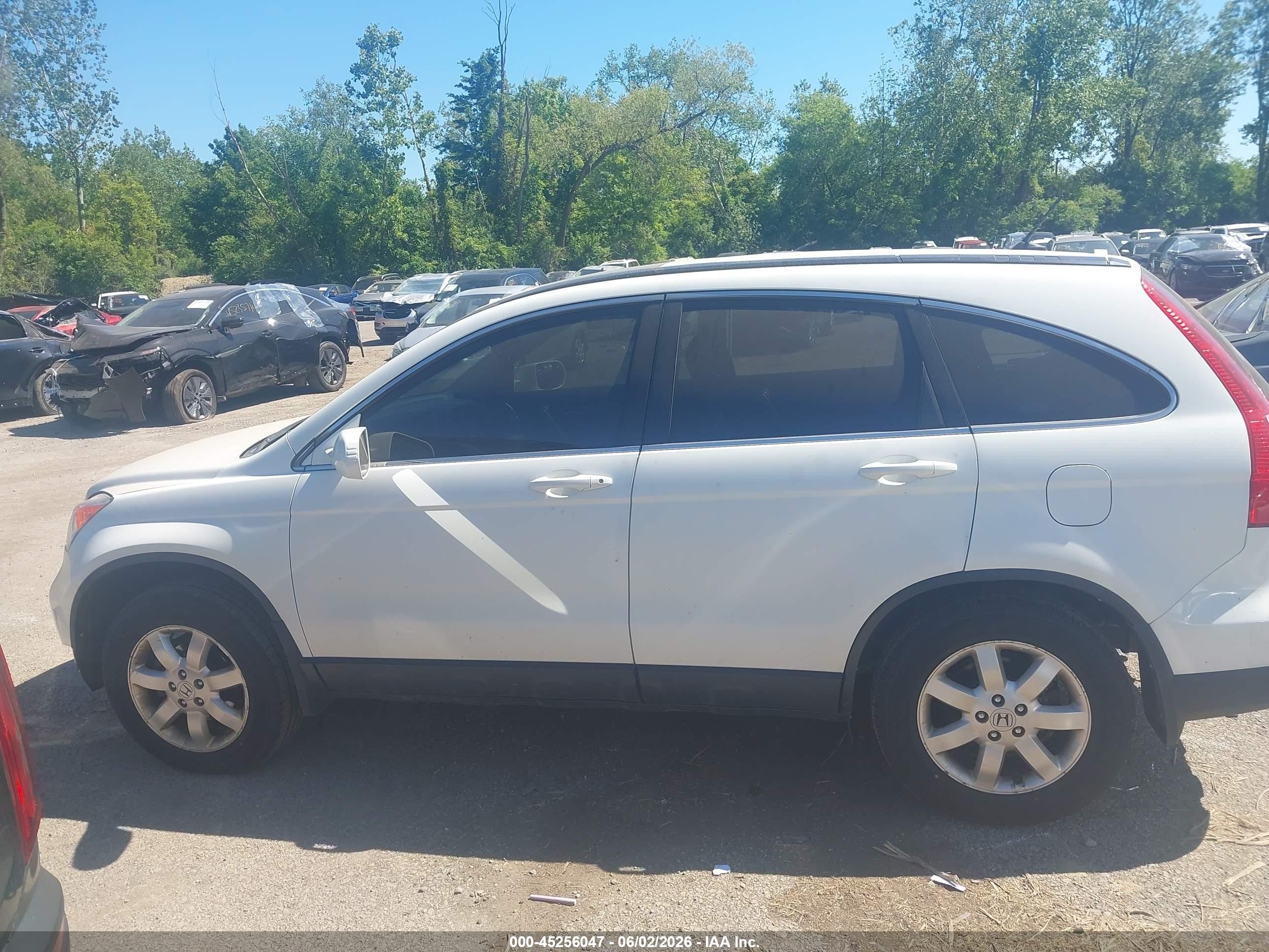 2008 Honda Cr-v Ex-l White vin: JHLRE48708C053554