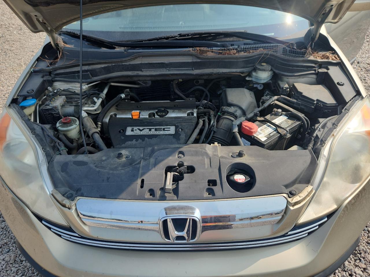 2007 Honda Cr-v Exl Tan vin: JHLRE48717C003602