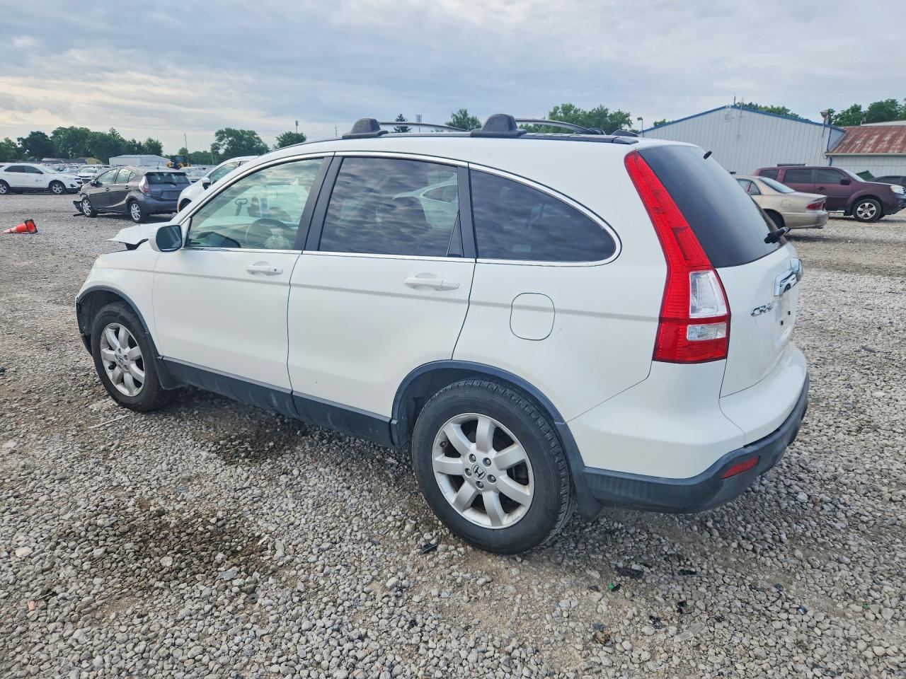 2008 Honda Cr-v Exl White vin: JHLRE48718C033572