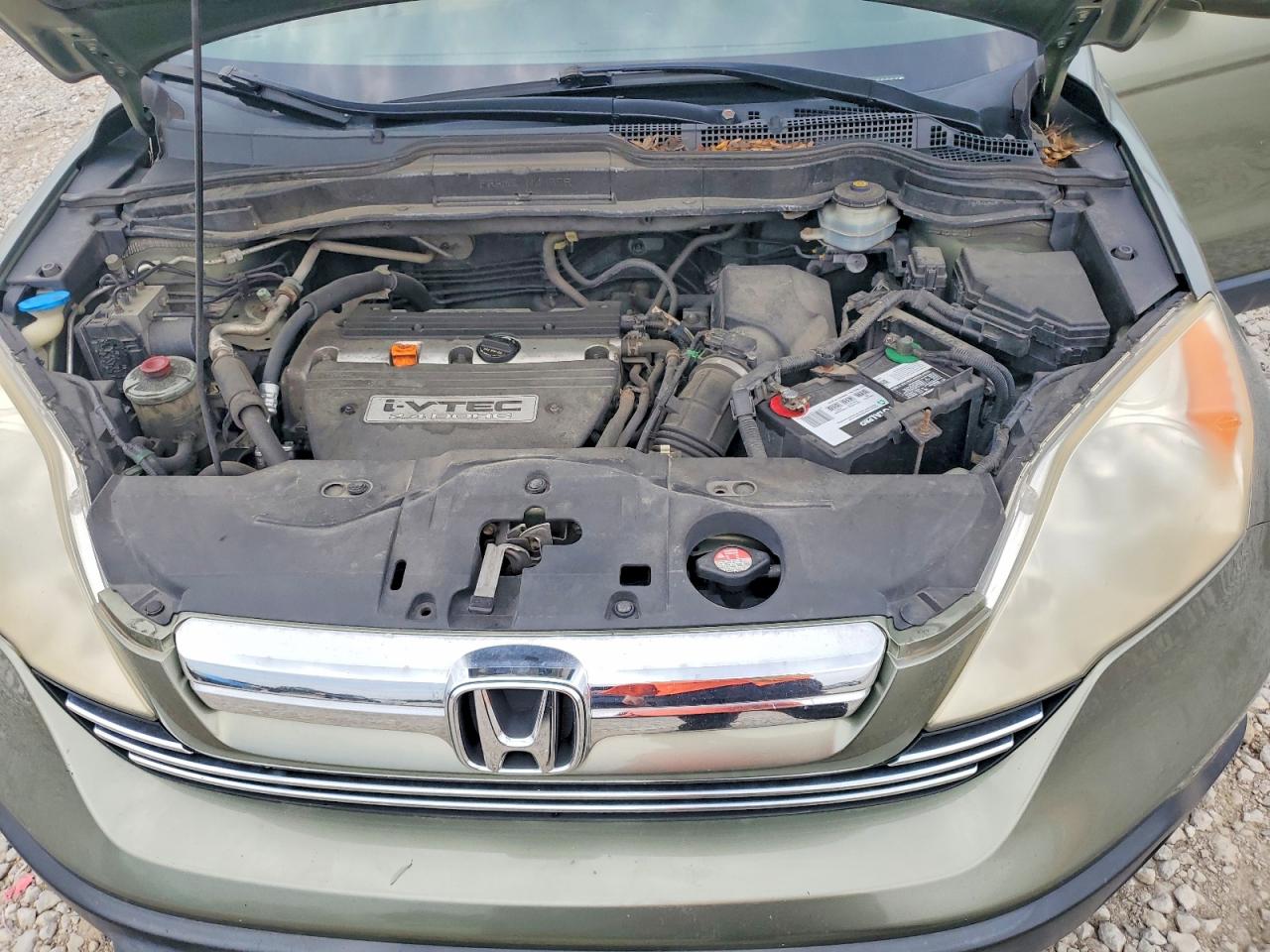2008 Honda Cr-v Exl Green vin: JHLRE48718C044135