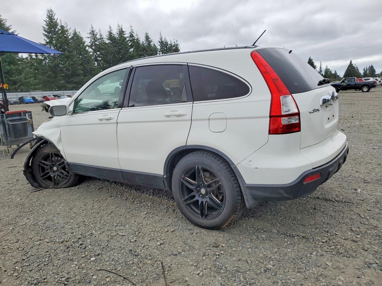 2007 Honda Cr-v Exl White vin: JHLRE48727C084867