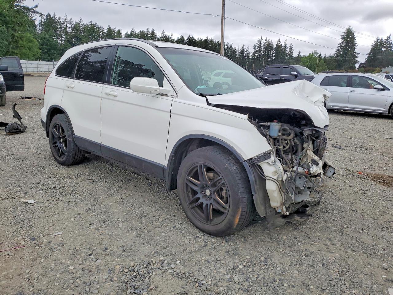 2007 Honda Cr-v Exl White vin: JHLRE48727C084867