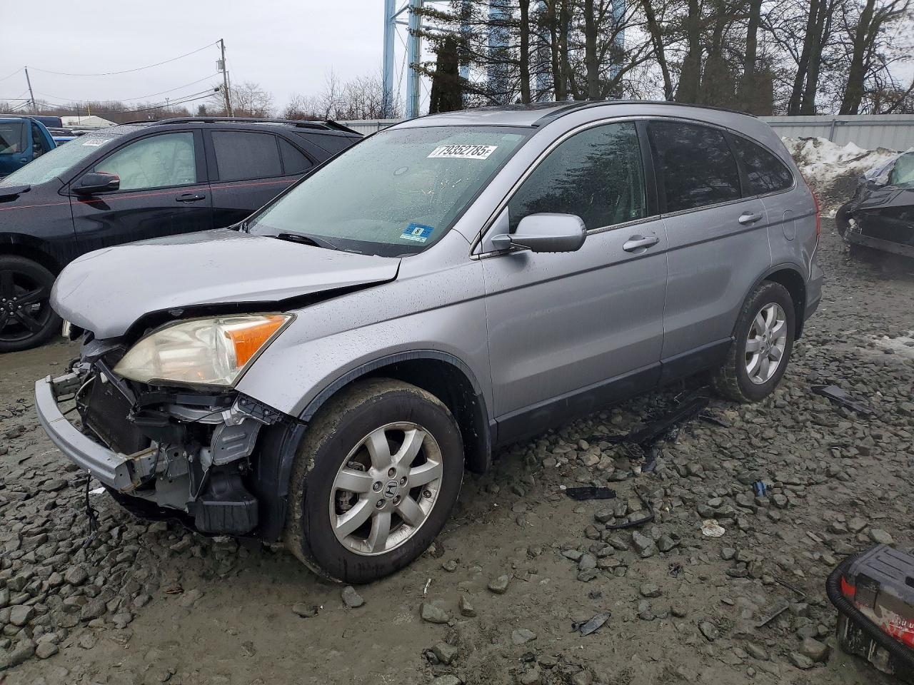 2008 Honda Cr-v Exl Silver vin: JHLRE48748C035901