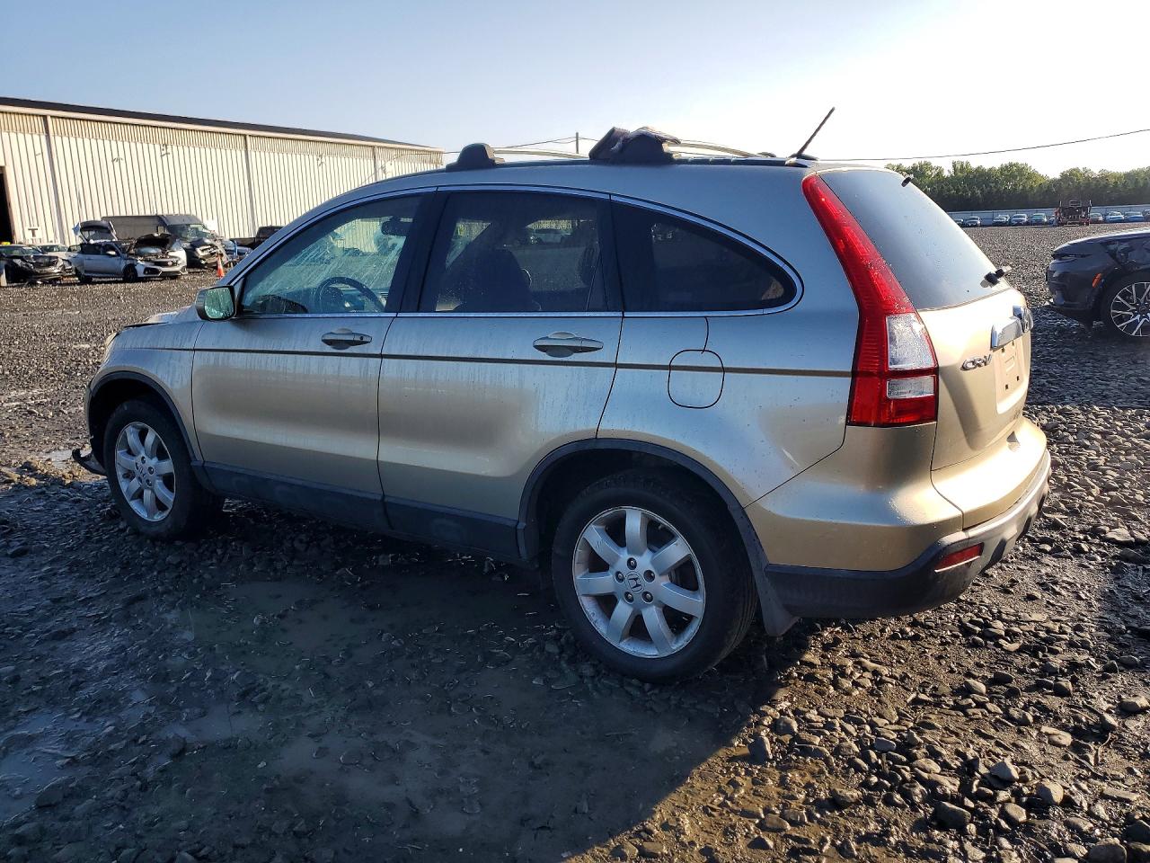 2007 Honda Cr-v Exl Beige vin: JHLRE48757C027787