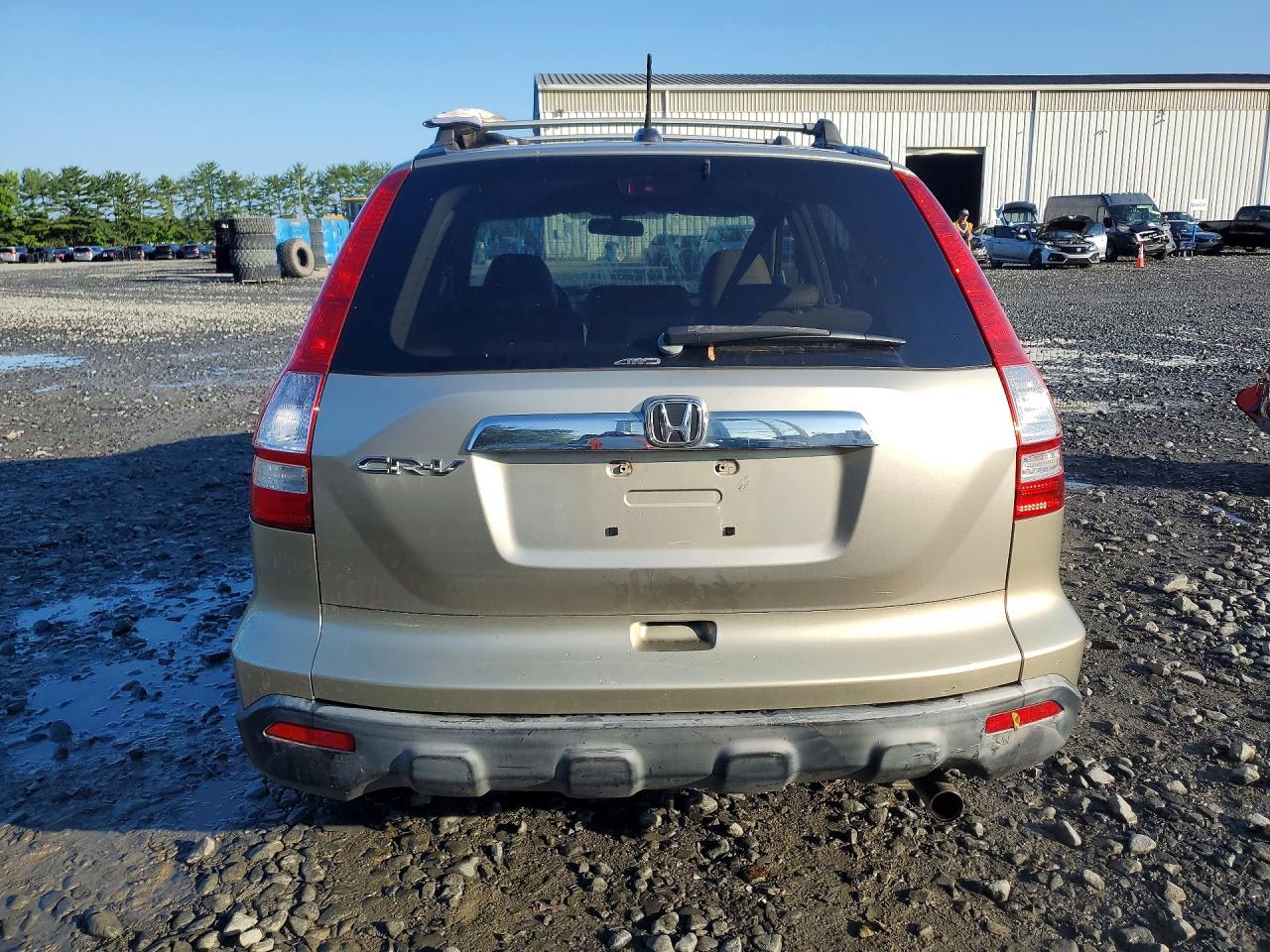 2007 Honda Cr-v Exl Beige vin: JHLRE48757C027787