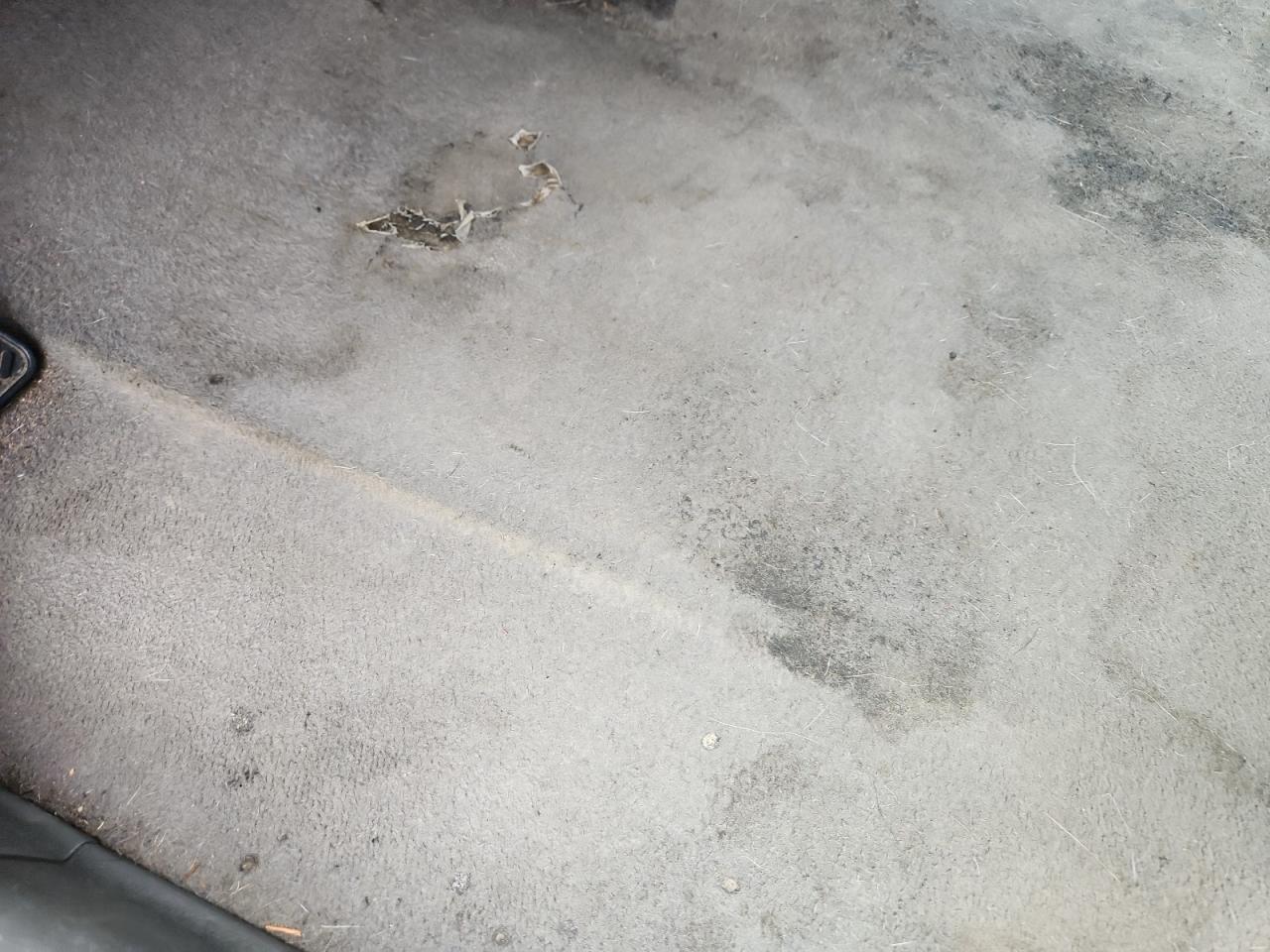 2007 Honda Cr-v Exl Blue vin: JHLRE48757C057789 Damage: Left Front Carpet, Torn, 5 To 6 Inches