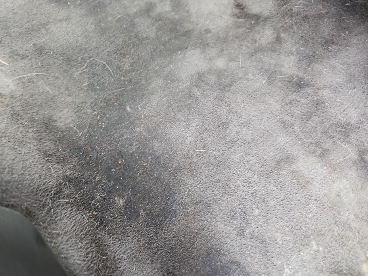 2007 Honda Cr-v Exl Blue vin: JHLRE48757C057789 Damage: Right Rear Carpet, Stained, Permanent