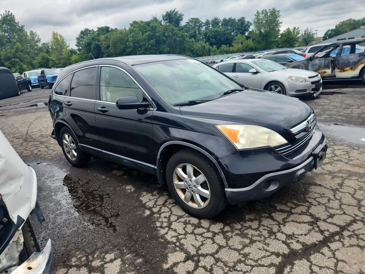 2007 Honda Cr-v Exl Black vin: JHLRE48767C123041