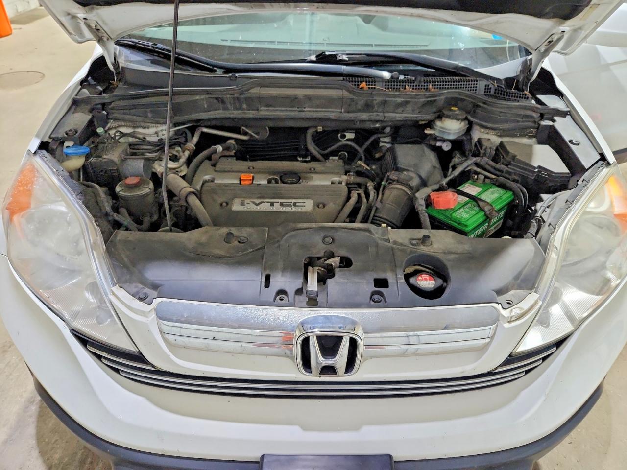 2008 Honda Cr-v Exl White vin: JHLRE48768C041697