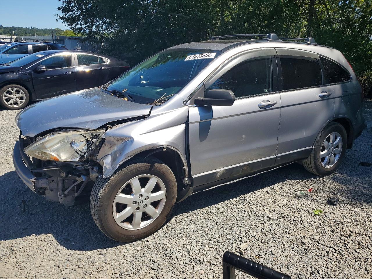 2007 Honda Cr-v Exl Silver vin: JHLRE48777C080393