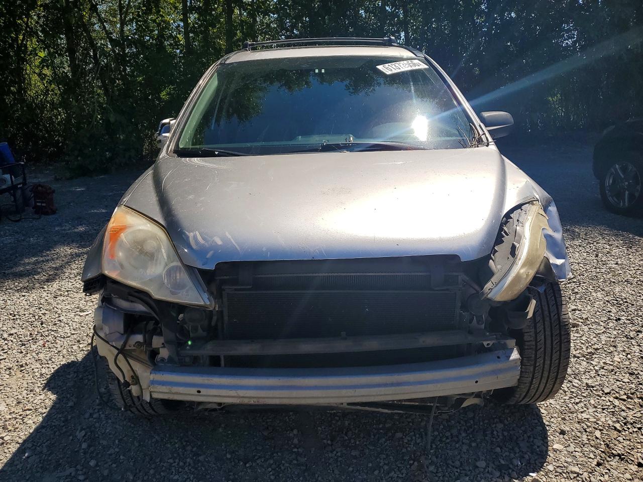 2007 Honda Cr-v Exl Silver vin: JHLRE48777C080393