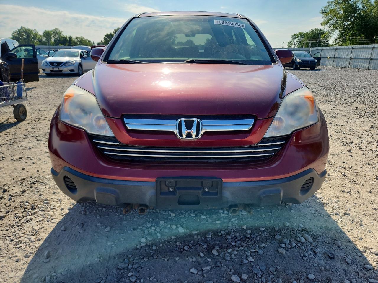 2009 Honda Cr-v Exl Burgundy vin: JHLRE48779C019984