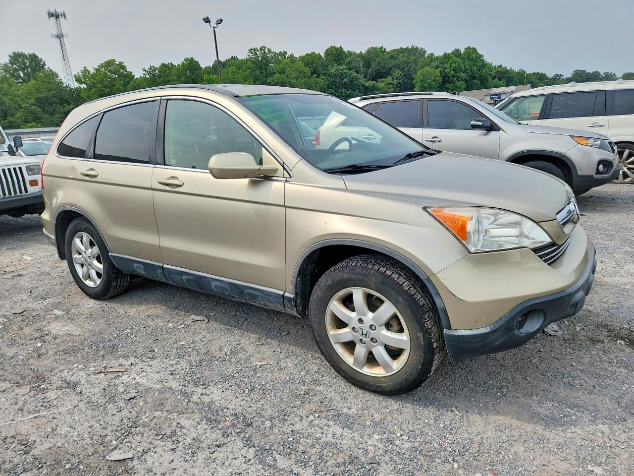 2007 Honda Cr-v Exl Gold vin: JHLRE48787C018985