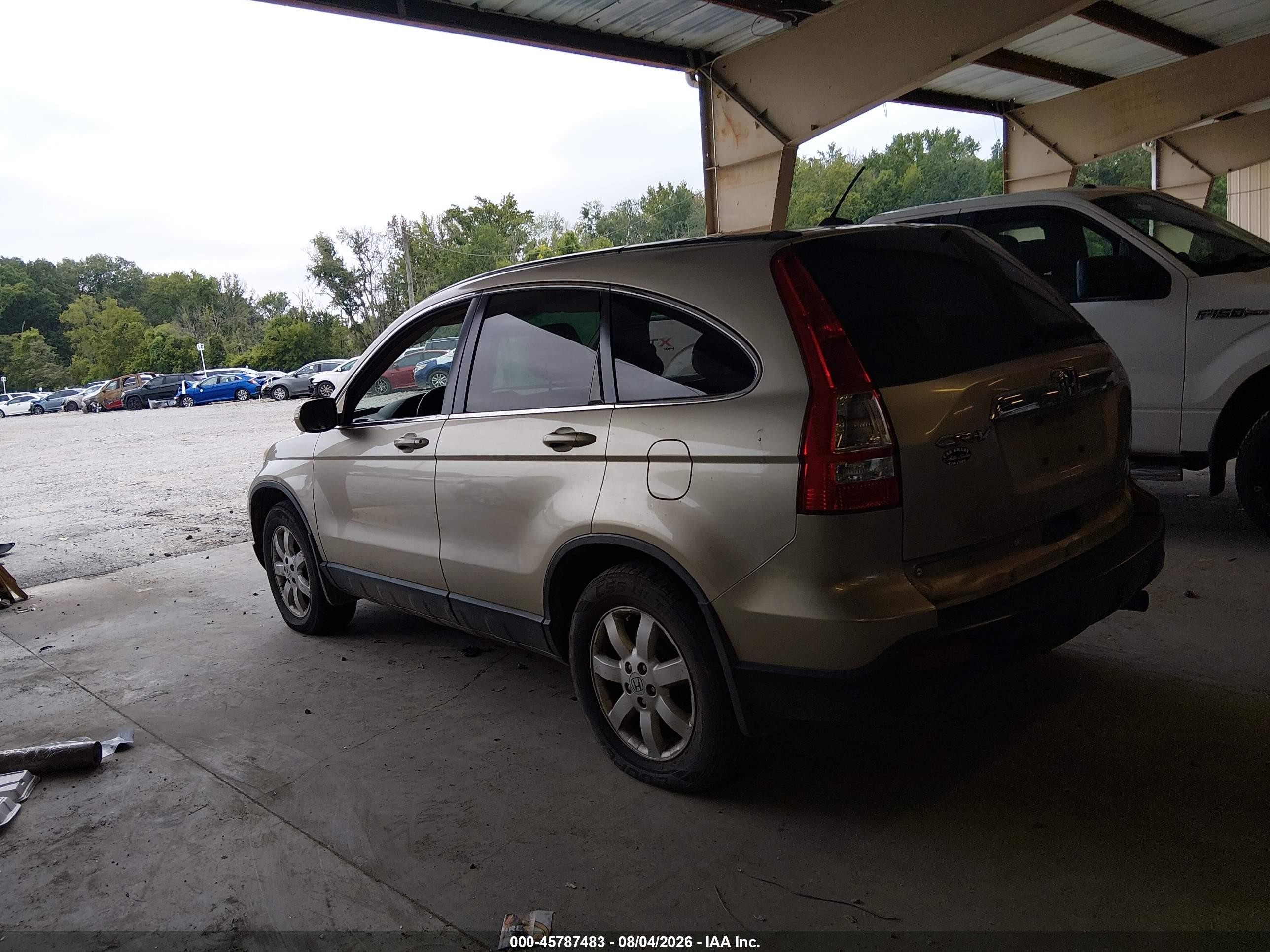 2007 Honda Cr-v Ex-l Gold vin: JHLRE48787C088177