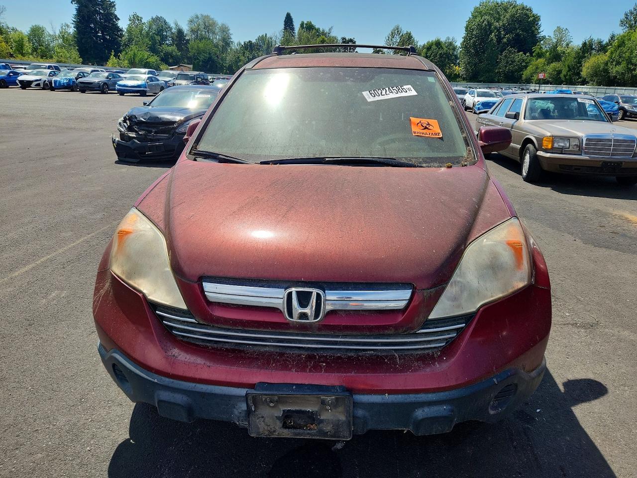 2007 Honda Cr-v Exl Red vin: JHLRE48787C122585