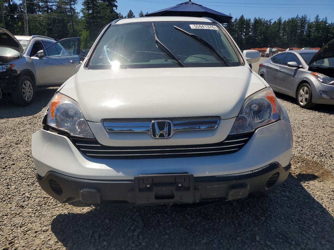 2007 Honda Cr-v Exl White vin: JHLRE487X7C123236