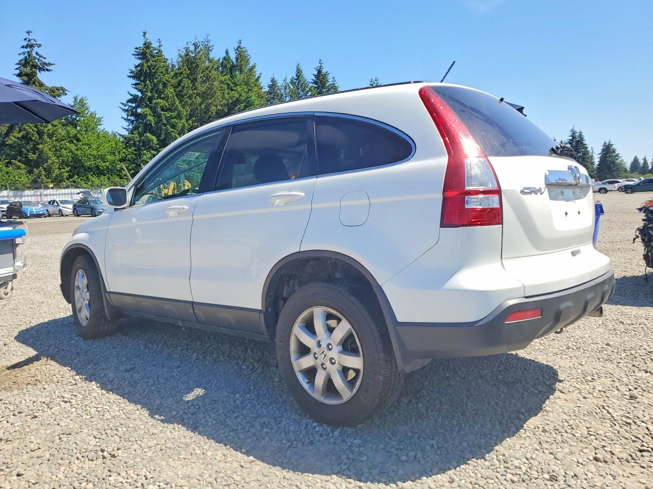 2007 Honda Cr-v Exl White vin: JHLRE487X7C123236