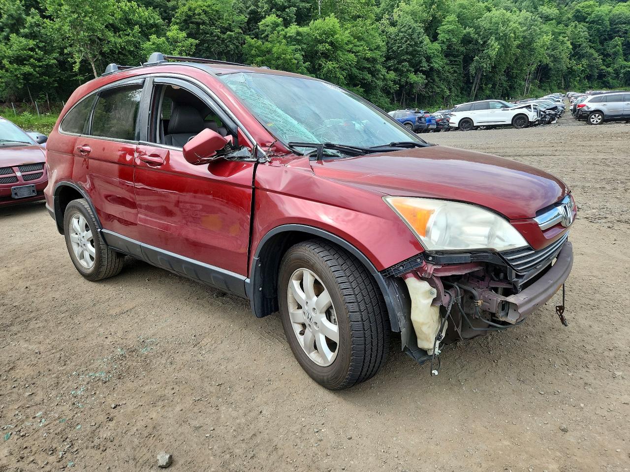 2007 Honda Cr-v Exl Red vin: JHLRE487X7C123771