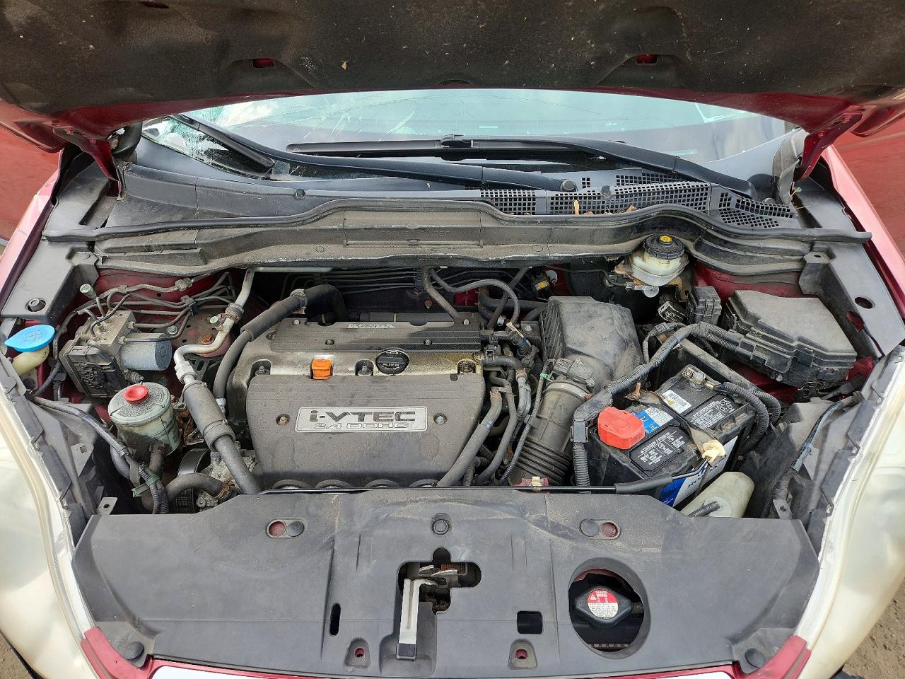 2007 Honda Cr-v Exl Red vin: JHLRE487X7C123771