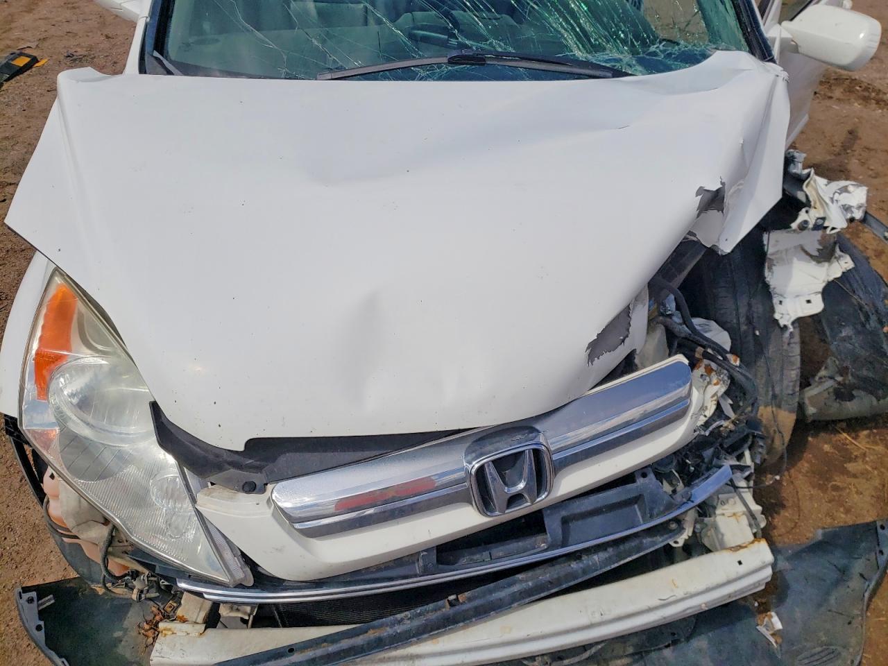 2008 Honda Cr-v Exl White vin: JHLRE487X8C070507